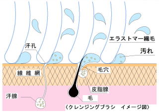 クレンジングブラシ洗顔イメージ図